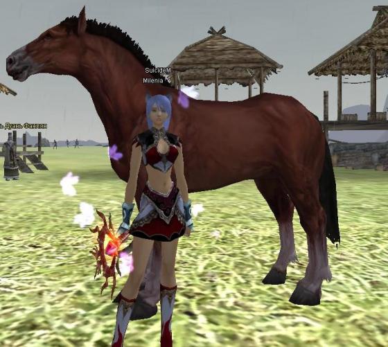 Horse&Milenia Horse&Milenia
